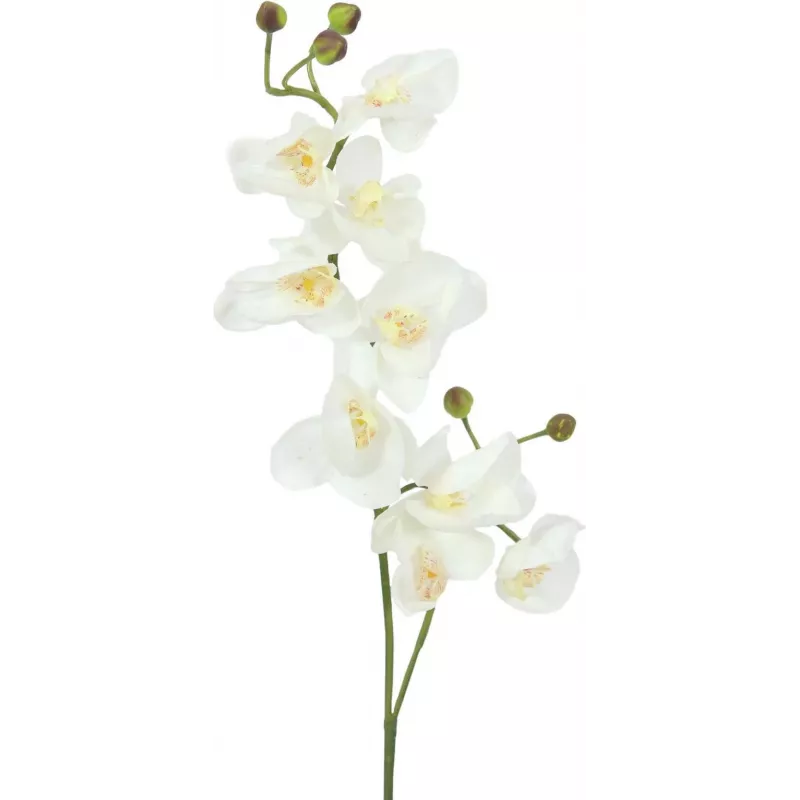 EUROPALMS rama de orquídea artificial, blanco crema, 100 cm (82530323)