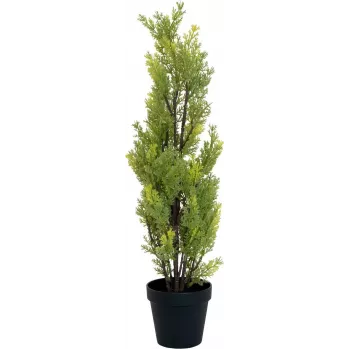 EUROPALMS Ciprés de Leyland planta artificial, 60 cm 82606959