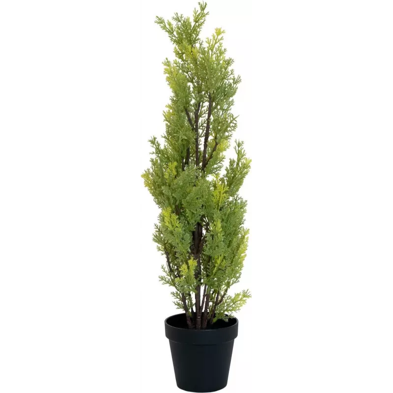 EUROPALMS Ciprés de Leyland planta artificial, 60 cm 82606959
