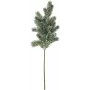 EUROPALMS Rama de abeto nevada, PE, 65 cm (83500421)