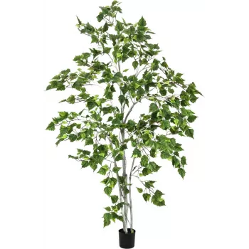 EUROPALMS Abedul planta artificial 180 cm 82505231