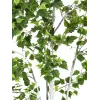 EUROPALMS Abedul planta artificial 180 cm 82505231