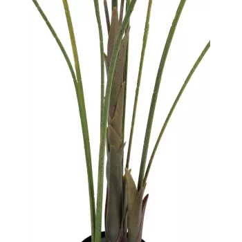 EUROPALMS Areca de hoja grande Palmera areca artificial, 185 cm (82509442)