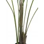 EUROPALMS Areca de hoja grande Palmera areca artificial, 185 cm (82509442)