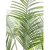 EUROPALMS Areca de hoja grande Palmera areca artificial, 185 cm (82509442)