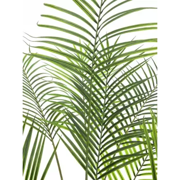 EUROPALMS Areca de hoja grande Palmera areca artificial, 185 cm (82509442)