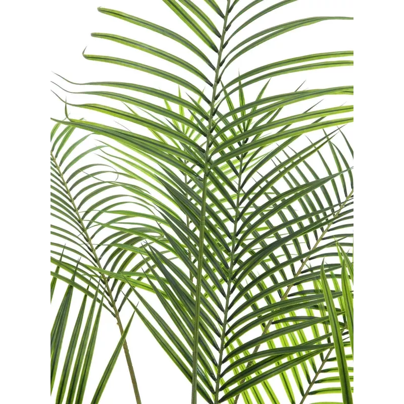 EUROPALMS Areca de hoja grande Palmera areca artificial, 185 cm (82509442)