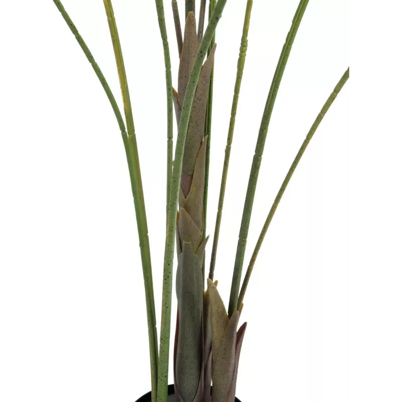 EUROPALMS Areca de hoja grande Palmera areca artificial, 185 cm (82509442)