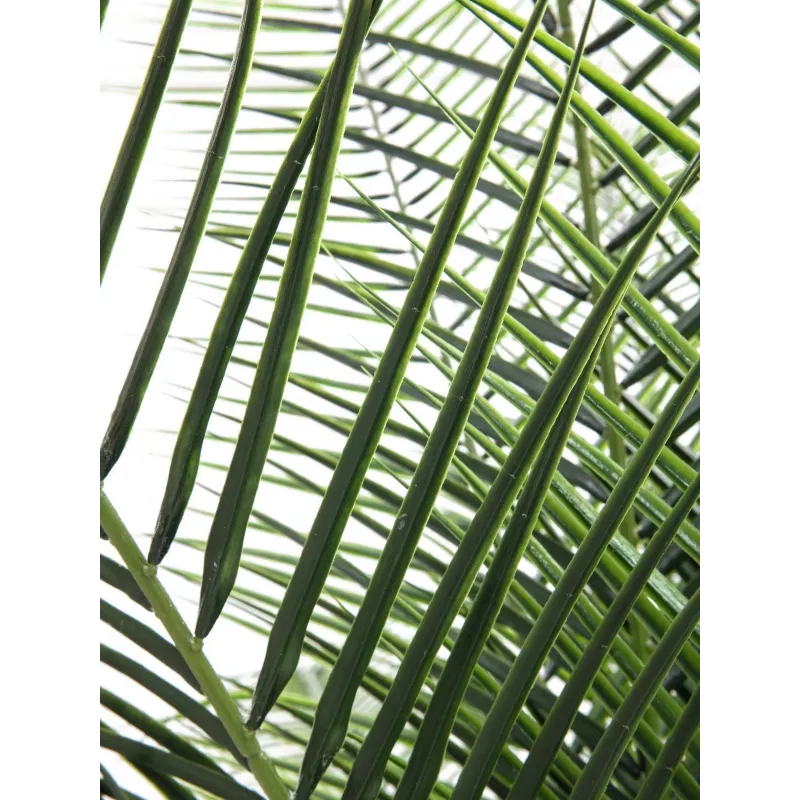 EUROPALMS Phoenix Palm Deluxe Planta artificial 220 cm 82509722
