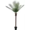EUROPALMS Phoenix Palm Deluxe Planta artificial 220 cm 82509722