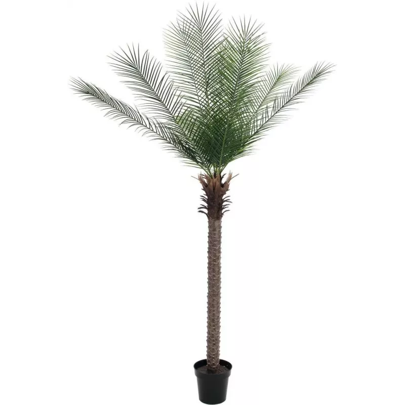 EUROPALMS Phoenix Palm Deluxe Planta artificial 220 cm 82509722