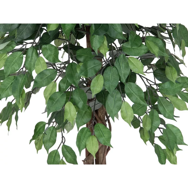 EUROPALMS Ficus Benjamina planta artificial multi-tronco, 180 cm 82506126
