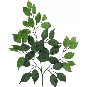 EUROPALMS rama de ficus benjamina artificial, paquete de 12 82506101