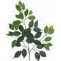 EUROPALMS rama de ficus benjamina artificial, paquete de 12 82506101