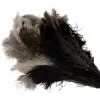 Bürstenhaus Redecker plumero de plumas de avestruz con cabeza mediana, mango de madera de haya, 50 cm 468807