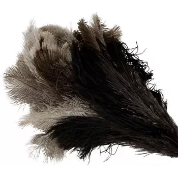 Bürstenhaus Redecker plumero de plumas de avestruz con cabeza mediana, mango de madera de haya, 50 cm 468807