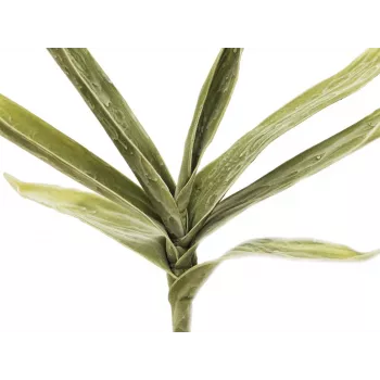 EUROPALMS rama de yuca artificial (EVA), verde 82531063