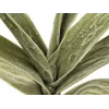 EUROPALMS rama de yuca artificial (EVA), verde 82531063