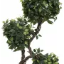EUROPALMS Ficus Multi Spiral Trunk Planta artificial, 160cm 82501563