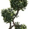 EUROPALMS Ficus Multi Spiral Trunk Planta artificial, 160cm 82501563