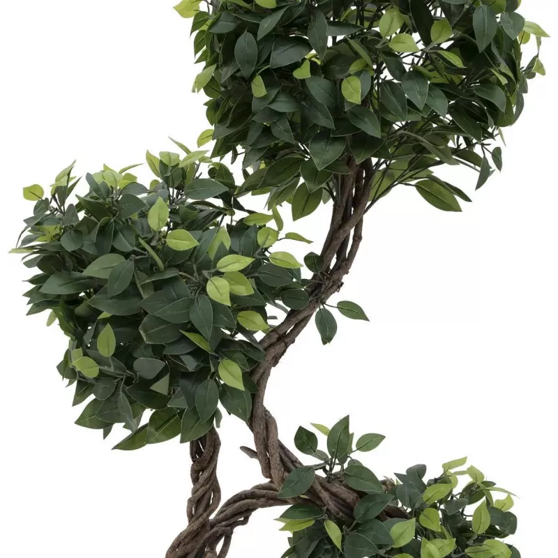 EUROPALMS Ficus Multi Spiral Trunk Planta artificial, 160cm 82501563