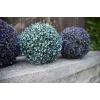 EUROPALMS Bola de hierba artificial, azul, 22cm 82606975