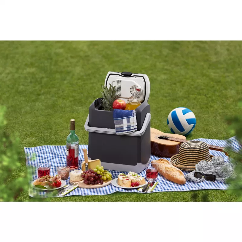 AEG KK 14 nevera y calentador termoeléctrico portátil 12V/DC gris 14L 10695