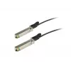 ALLNET cable de cobre de conexión directa SFP28 25G, 3m (ALL4779-3)