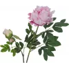 EUROPALMS rama de peonía premium planta artificial, rosa, 100cm 82530220