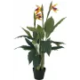 EUROPALMS planta artificial Strelitzia, 90 cm 82540502