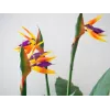 EUROPALMS planta artificial Strelitzia, 90 cm 82540502