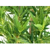 EUROPALMS Bambú deluxe, planta artificial, 150cm 82509166