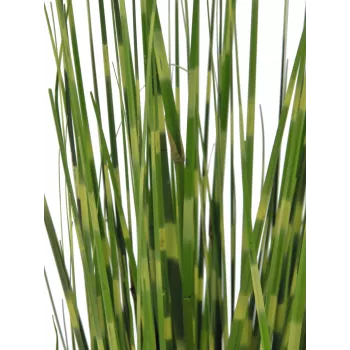Hierba cebra EUROPALMS, artificial, 90cm 82505863