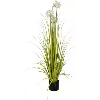 Planta artificial EUROPALMS hierba de ajo, blanca, 120 cm 82600169