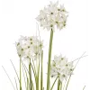 Planta artificial EUROPALMS hierba de ajo, blanca, 120 cm 82600169