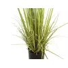 Arbusto perenne con hierba EUROPALMS, planta artificial, 182 cm 82600185