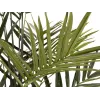 EUROPALMS Kentia Palmera artificial 300cm 82511369