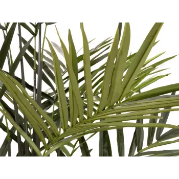 EUROPALMS Kentia Palmera artificial 300cm 82511369