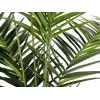 EUROPALMS Kentia Palmera artificial 240cm 82511368