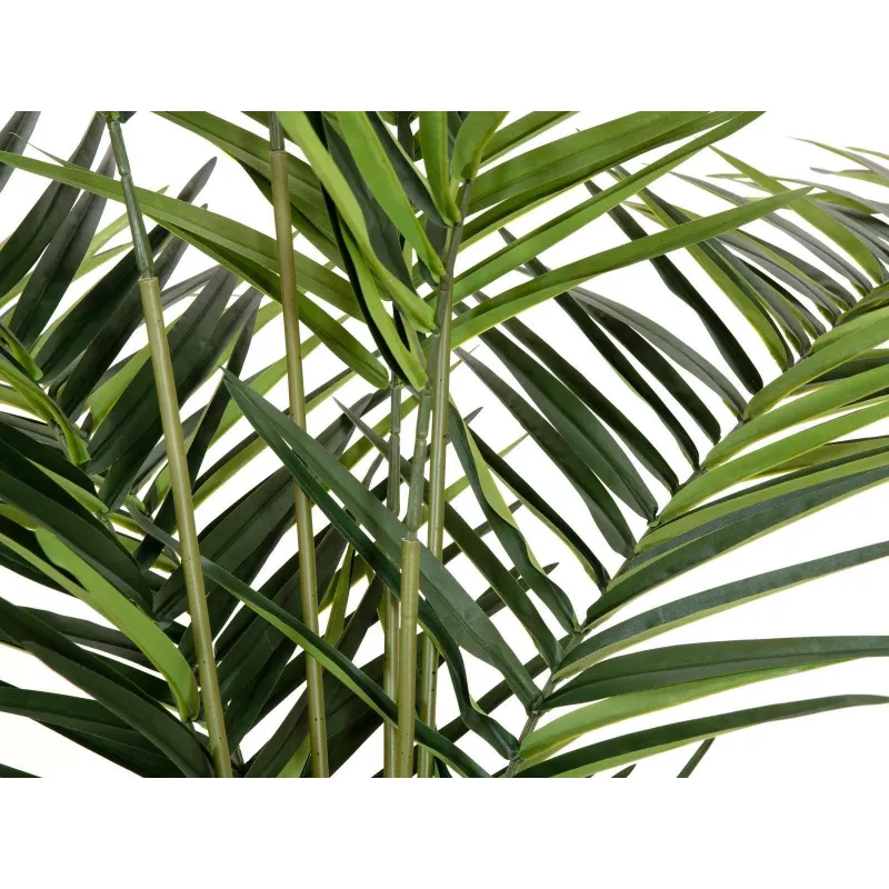 EUROPALMS Kentia Palmera artificial 240cm 82511368