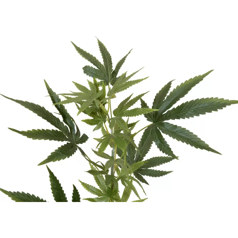 EUROPALMS Rama de cáñamo artificial, 90cm, verde 82506699