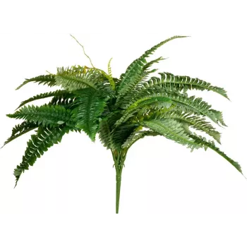 EUROPALMS Boston planta artificial de helecho, 53cm, verde 82519934
