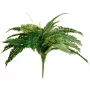 EUROPALMS Boston planta artificial de helecho, 53cm, verde 82519934