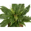 EUROPALMS Boston planta artificial de helecho, 53cm, verde 82519934