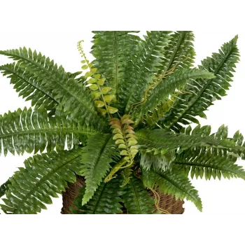 EUROPALMS Boston planta artificial de helecho, 53cm, verde 82519934