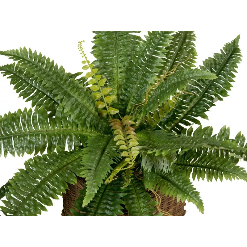 EUROPALMS Boston planta artificial de helecho, 53cm, verde 82519934