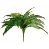 EUROPALMS Boston planta artificial de helecho, 53cm, verde 82519934