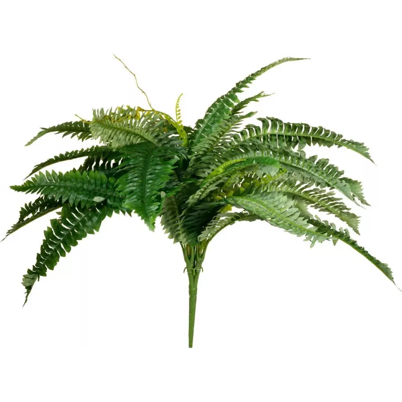 EUROPALMS Boston planta artificial de helecho, 53cm, verde 82519934