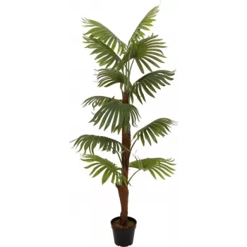EUROPALMS planta artificial de palmera de abanico, 155cm 82509303