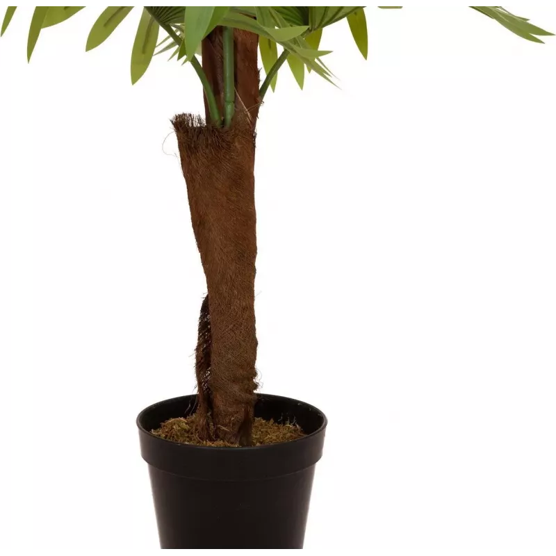 EUROPALMS planta artificial de palmera de abanico, 155cm 82509303